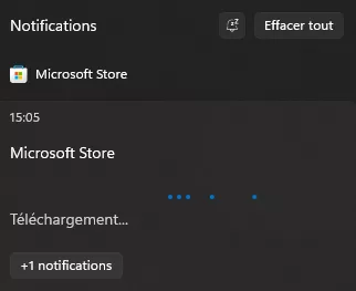 Réparation Microsoft Store absent