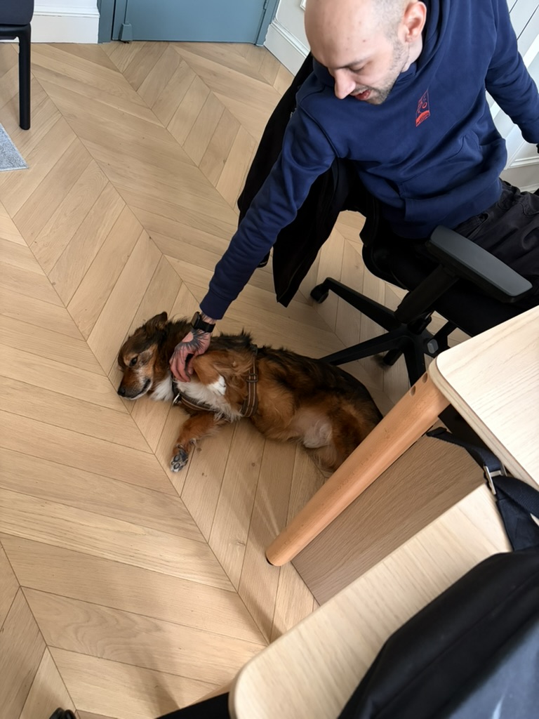Alex, membre de l’équipe Dhala, avec Suki dans les bureaux parisiens