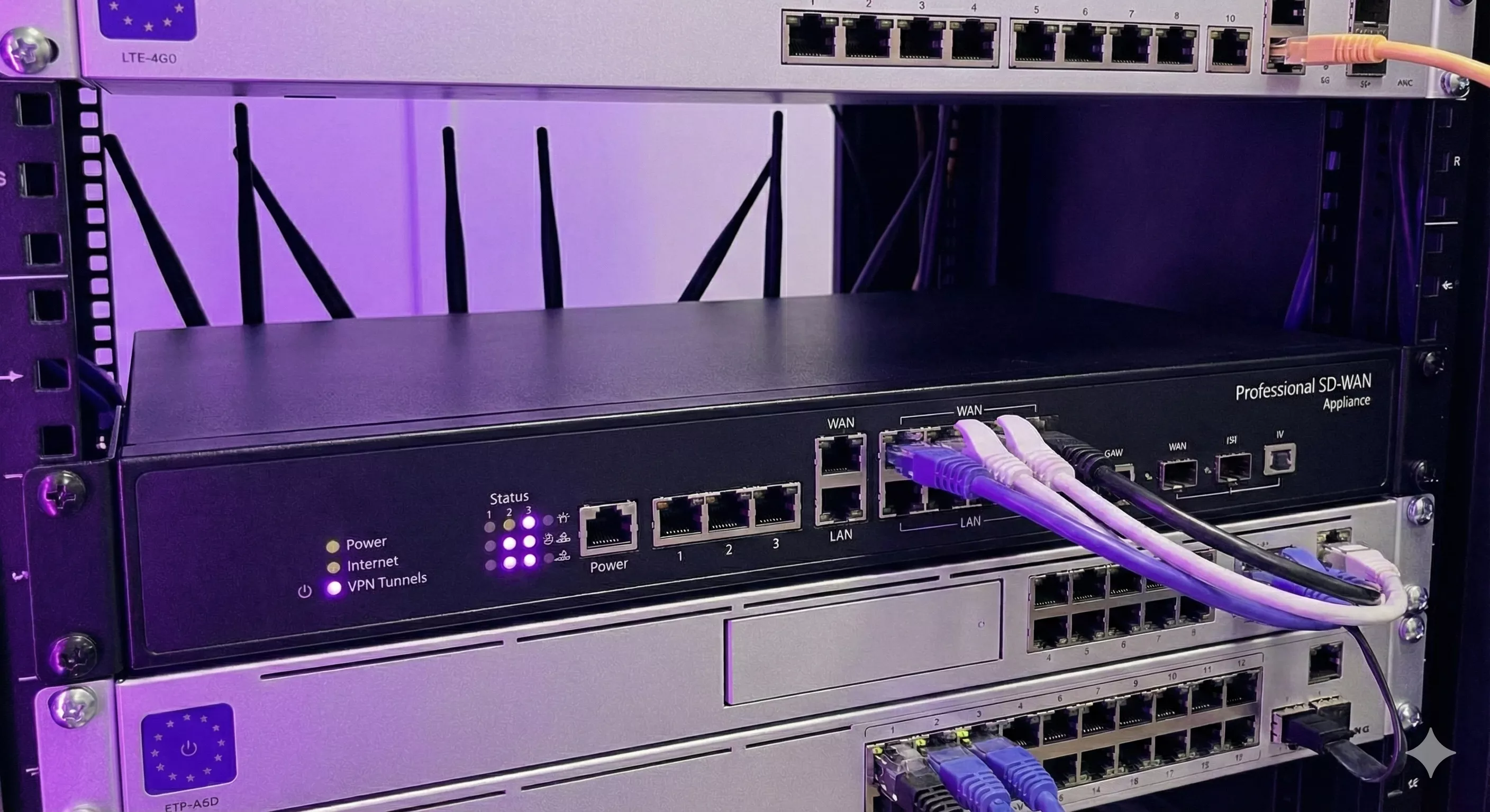 Routeur SD-WAN et Pare-feu